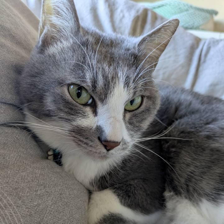 Cb0841db 27db 4067 b5f2 49bbf5bd1c5b 1766024869977