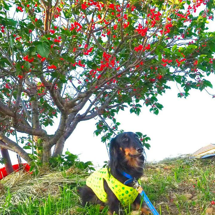 Cb0860a5 e8f8 4206 9a67 c3dd96bf11ba 1525485365880