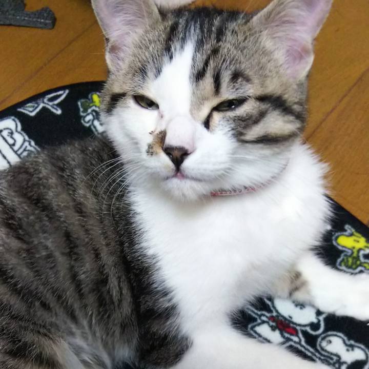 Cb08864b 044f 4e89 9fb9 73df9c208de3 1611050025580