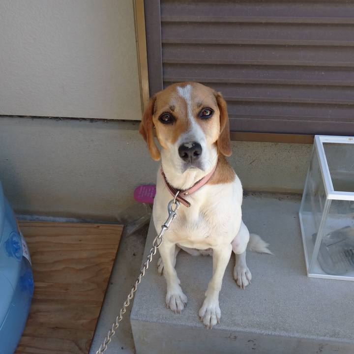 Cb08892c eade 46fc 8174 a13db4618de0 1600147898888