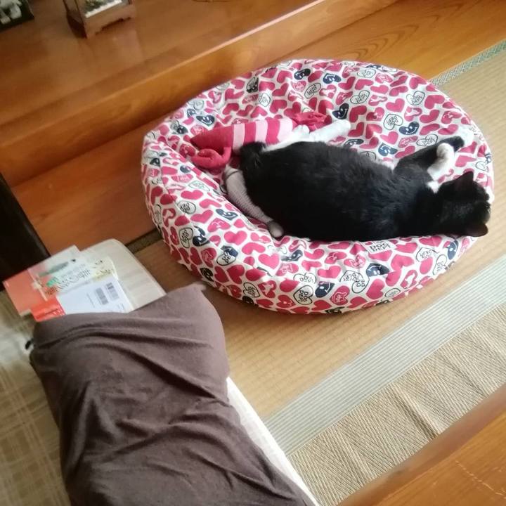 Cb0889cd 4af1 421d a89e 01eca1d04639 1566916894989