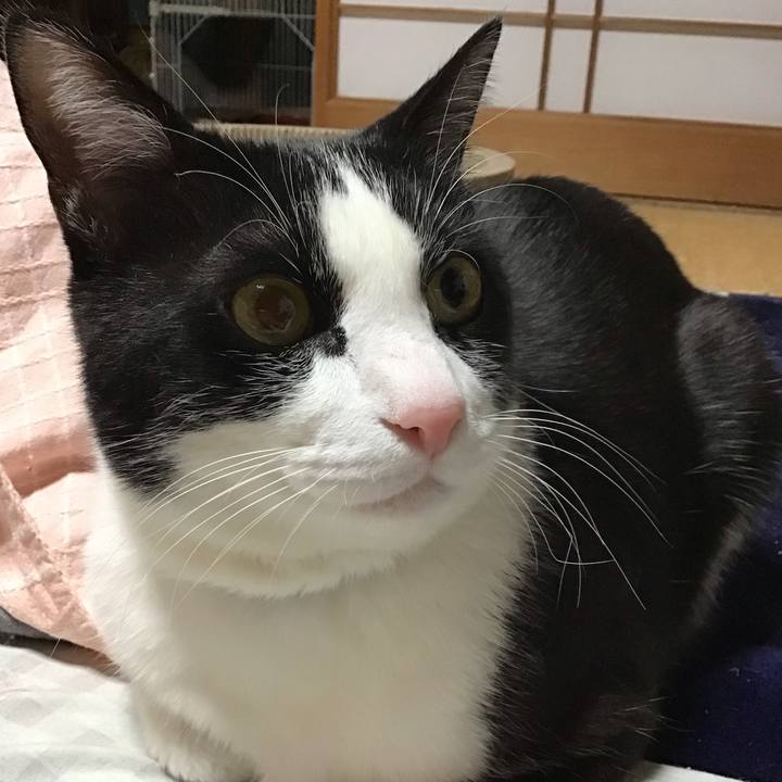 Cb08a69e 5533 4f6d 8792 139edd96c632 1710591417770