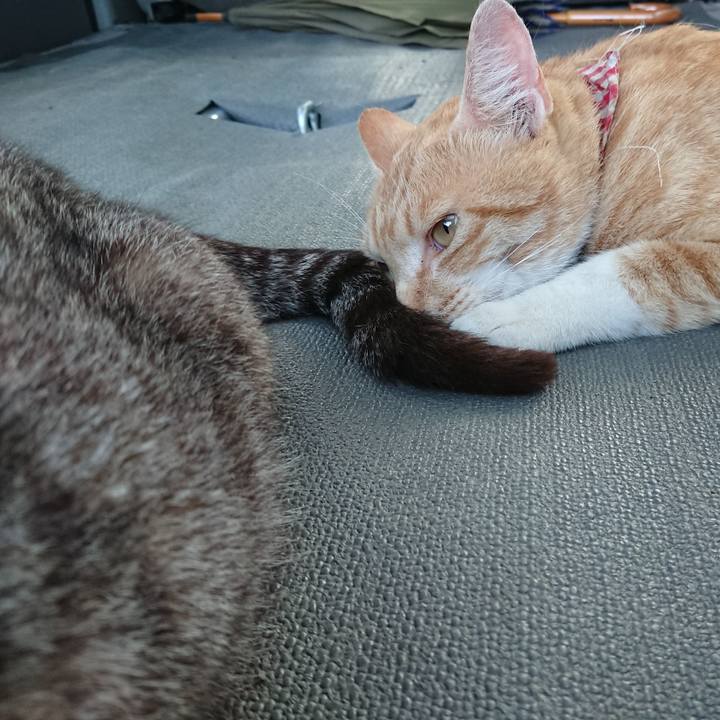 Cb08aab8 5bdf 4ef4 a298 4a2b8b891732 1561714954434