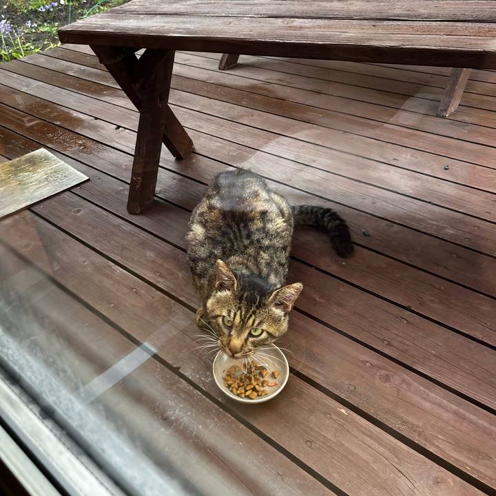 Cb08c2f5 6838 460b bf8f 9ee0627e8cd6 1721942887899