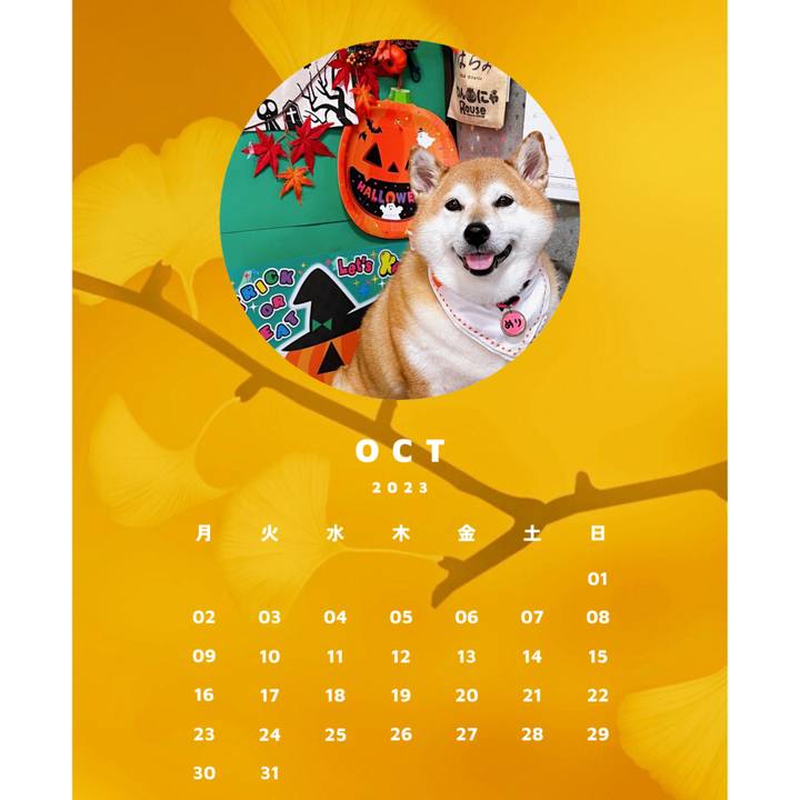 Cb09259b de79 4413 95c4 6ef4940a08e8 1696372566309