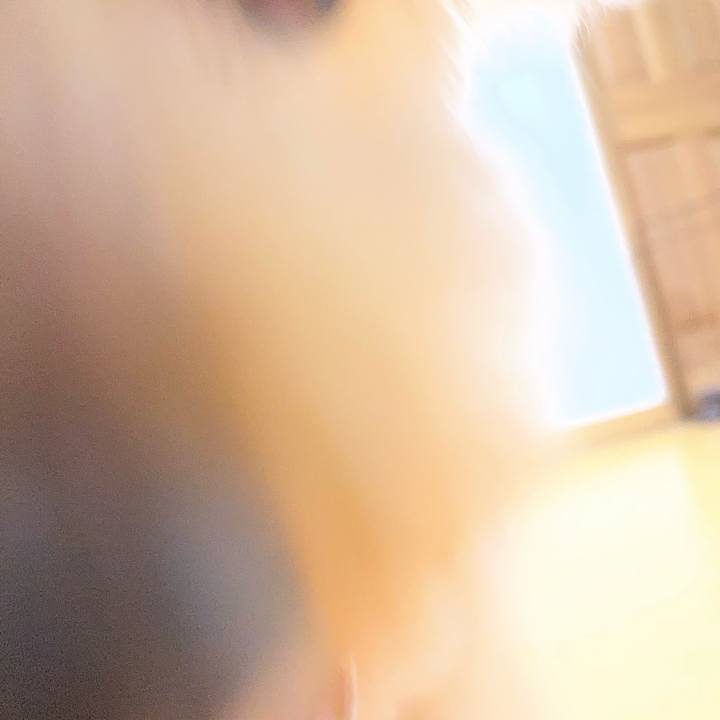 Cb0947cf 7ffb 4e95 94ae 5afee061d176 1766815891246