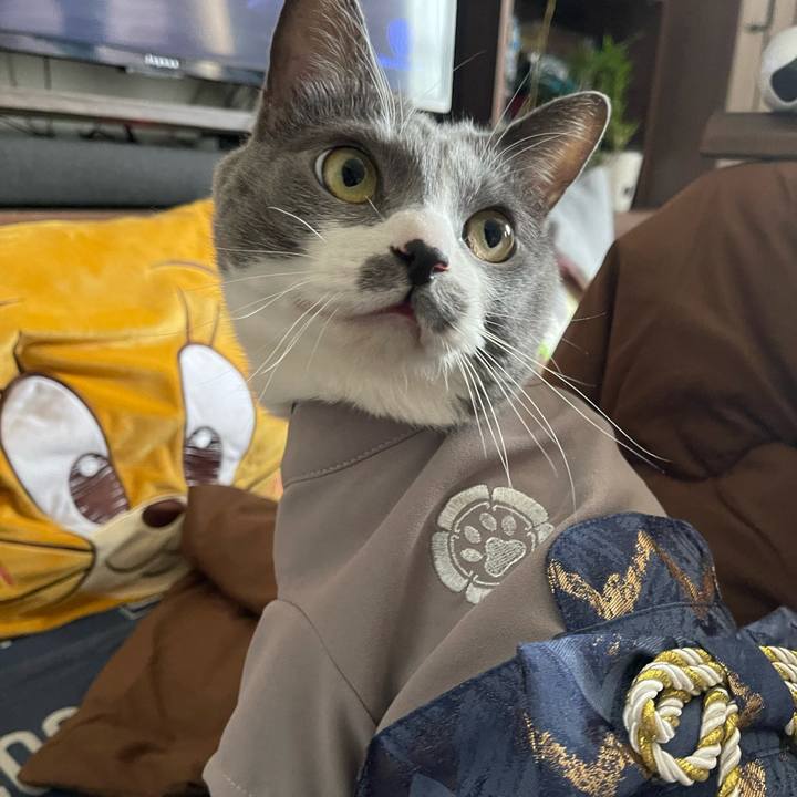 Cb096935 bde1 429e 9f88 7f1280af0b30 1733893120190