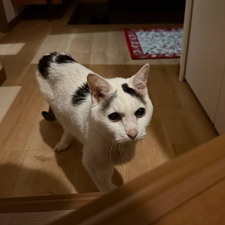 Cb097cf3 9b0b 4981 adc5 10d10ca57fbb 1768560446055