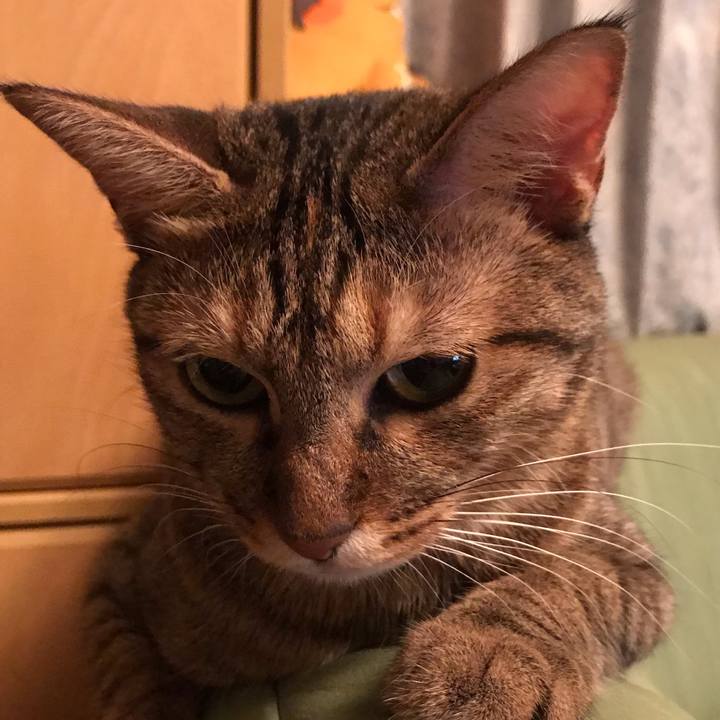 Cb09911d 2513 46a1 8885 e0ef76c10b4c 1597624137066