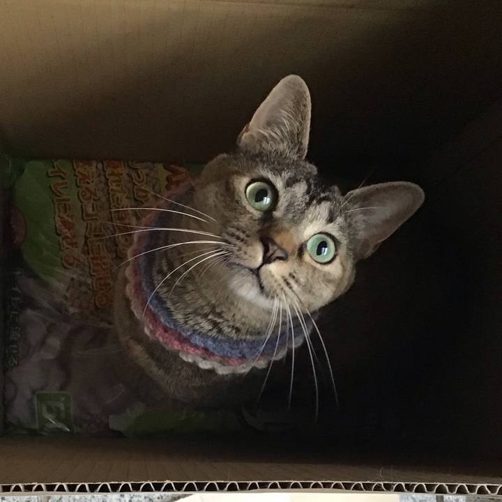 Cb09b7ae 5241 4064 9729 d0662903ad3b 1625206665534