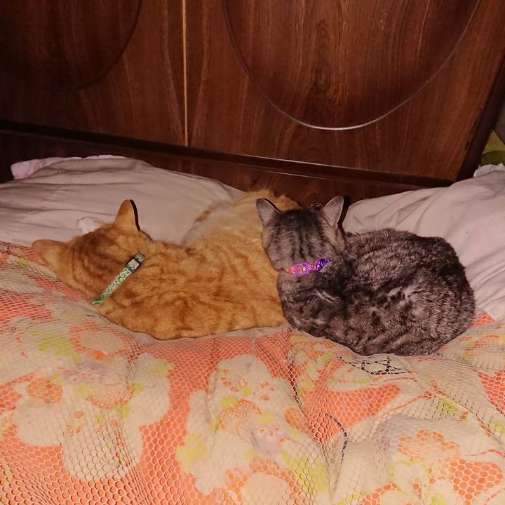 Cb09c90c 3107 4892 af2c 74a855ebcd07 1584378172941