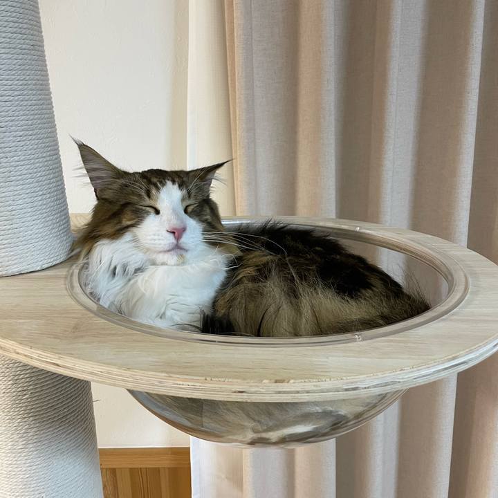 Cb09d7b1 f6ab 4a23 8c59 b694dc7371f6 1653917019415