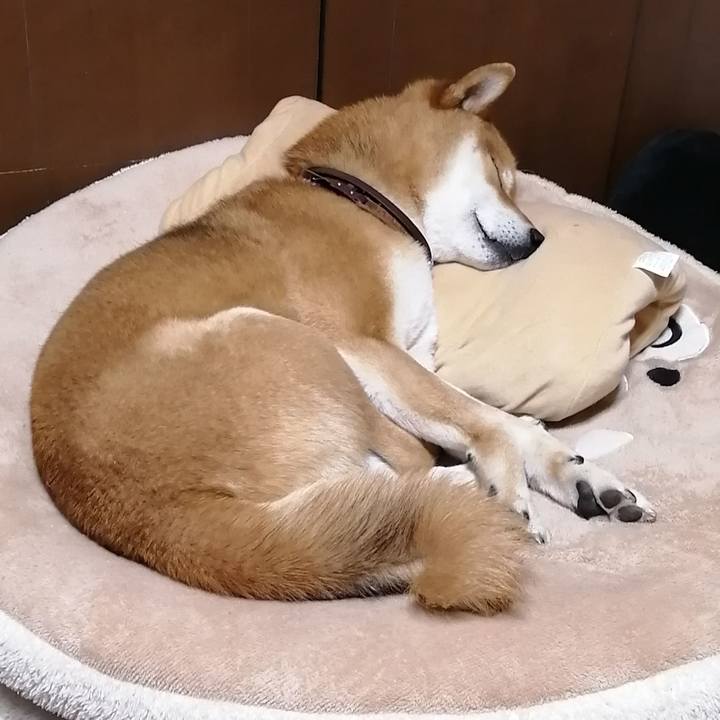 Cb09ed89 c992 45a4 912f 16bb81e2736a 1586523582788