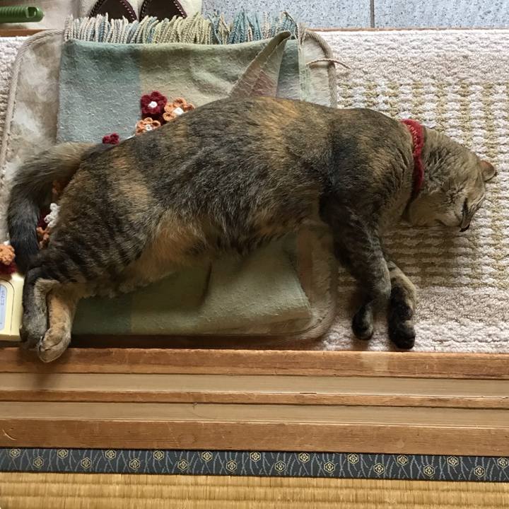 Cb0a4a64 2456 4614 97a5 99ab553f7bac 1600668283791