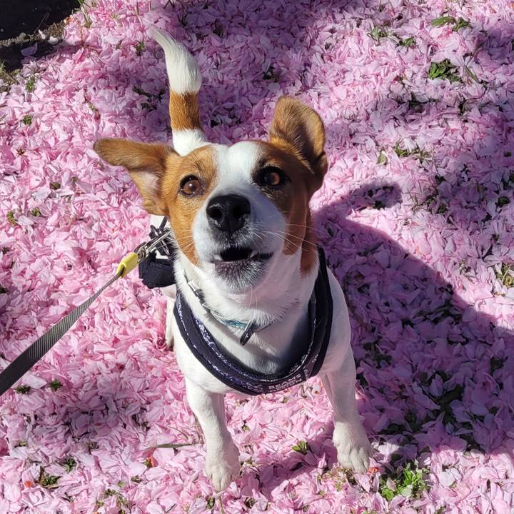 Cb0a4bec 63de 4270 be67 9d5ecd9d58bf 1713499379639