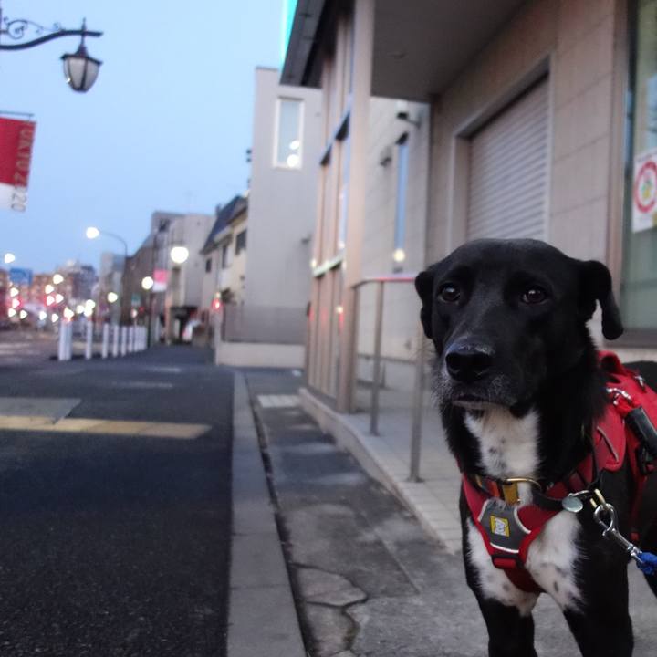 Cb0a6c4d e881 4458 8e8f 9b4c18f4bdee 1586090946705