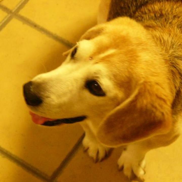 Cb0a8363 3c8d 4995 b864 25e5f5aae121 1691281854416