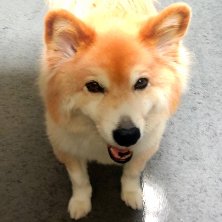 Cb0a9fff 7d88 46e0 99cf 5f84e749f304 1533619246445