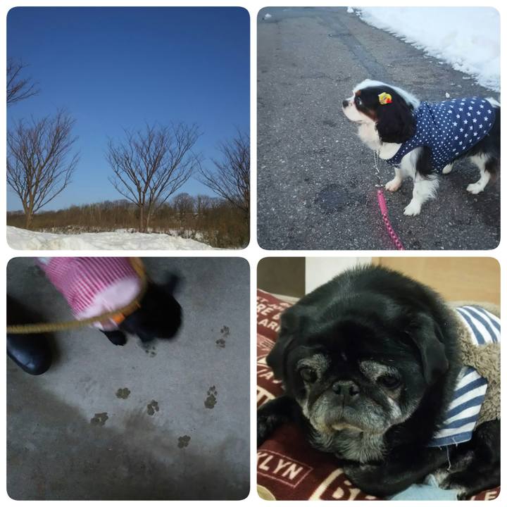 Cb0aae5a ddec 4f96 8457 60c5bb439647 1518620355137