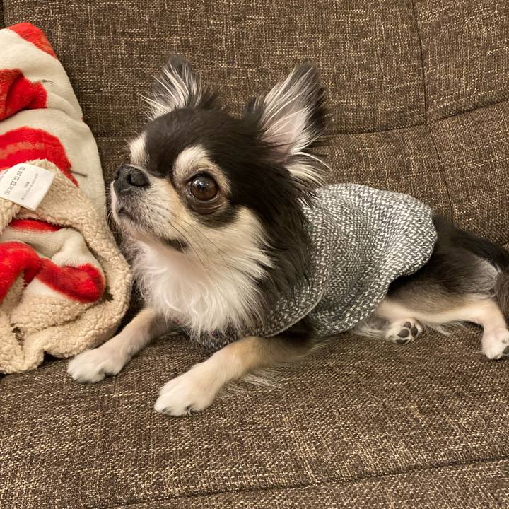 Cb0ac4cd 6b4d 4f90 96e4 b8f6afe4b191 1705751135881