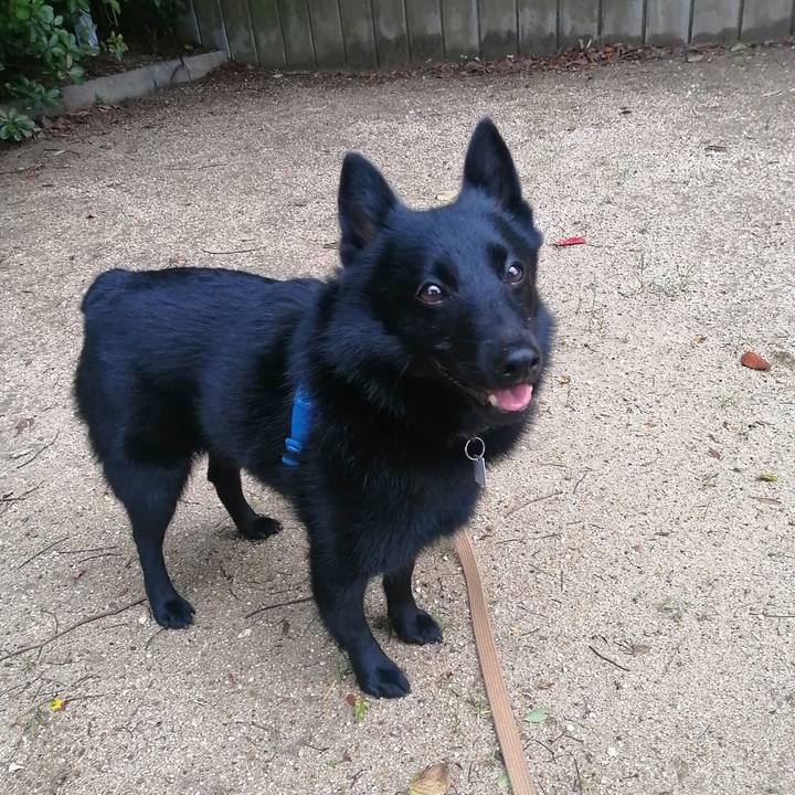 Cb0ad2be d786 40a6 a0df dface7a6d477 1629060755737