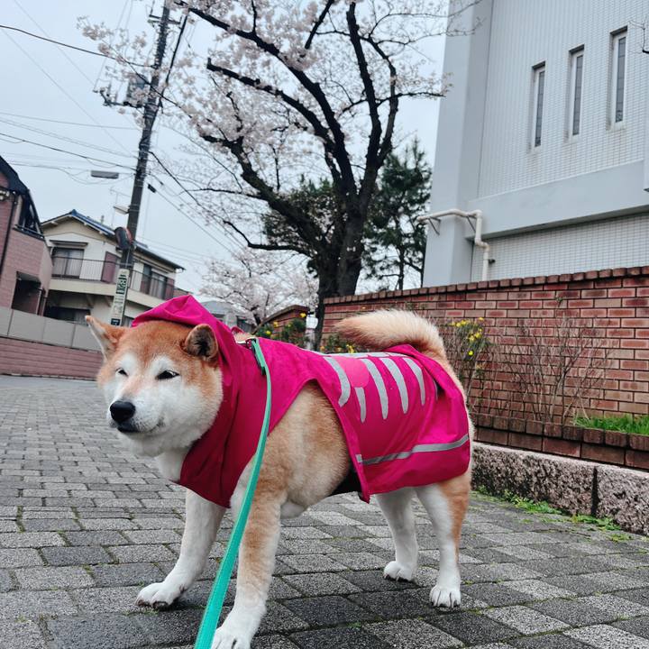 Cb0ad531 39b6 463f 9d97 d2879e86e7fa 1712118881938