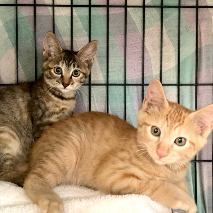 Cb0b0955 b4b0 4036 9712 e8a45776df80 1638002836523