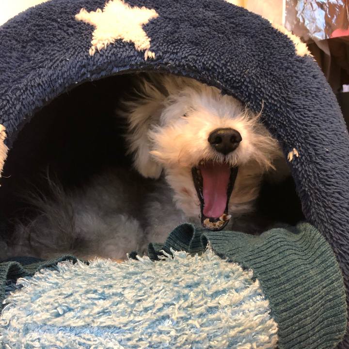 Cb0b14d1 204b 4c75 9d63 7bfee1f92793 1638052746073