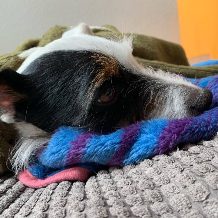 Cb0b261b 616a 464d b0b9 b11509021c8c 1549025608675