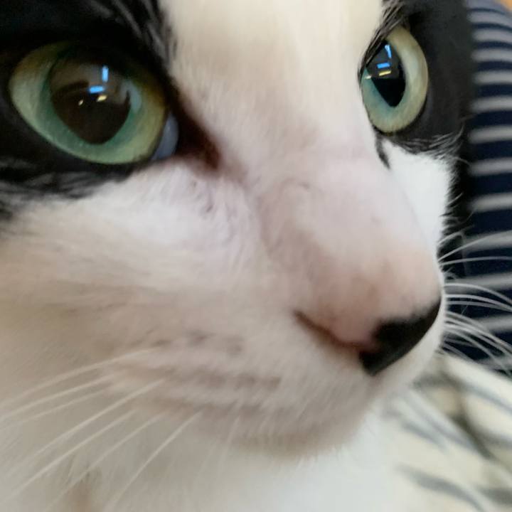 Cb0b6940 3c69 4cdc 874e 1ba5405adbb8 1674857325254