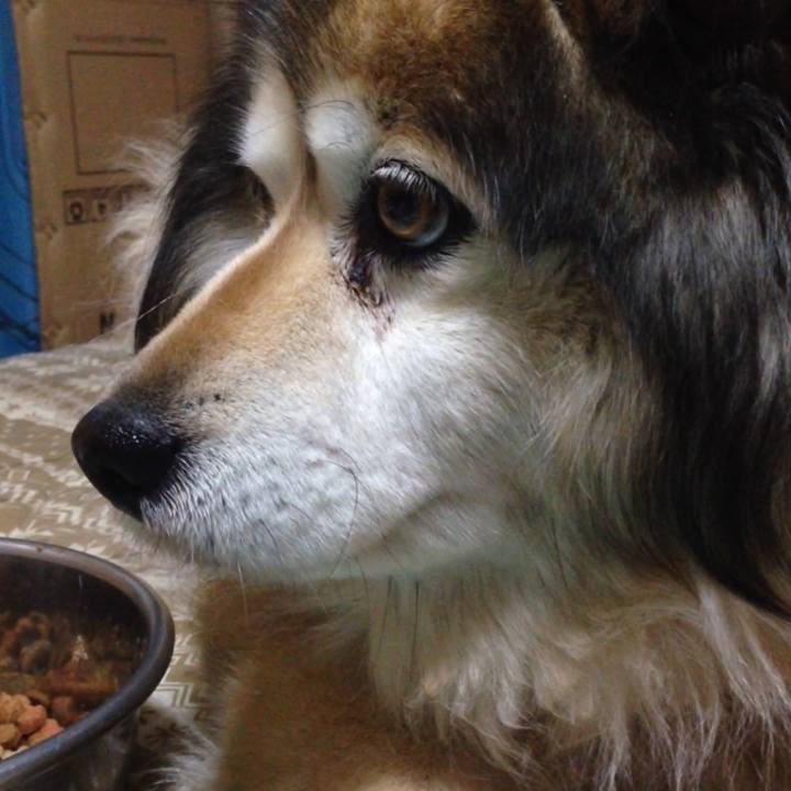 Cb0b9792 a581 4377 99e4 9ff8bc04a76e 1590410947144