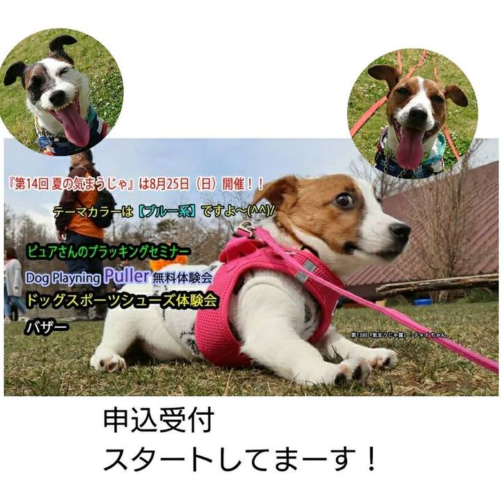 Cb0ba4fb 6e2c 4ec9 988d 0dfe84f5e9a6 1561783664811