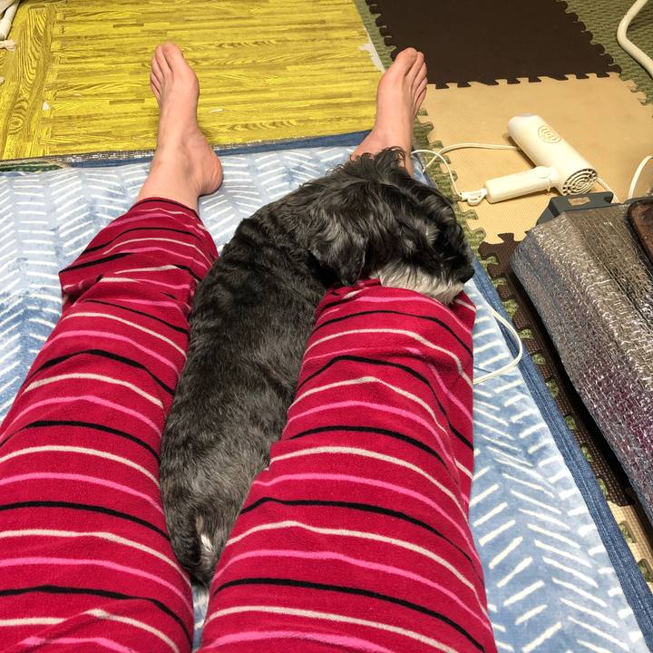 Cb0bab35 b9fc 43e2 8b00 14432d5022d9 1676025577015