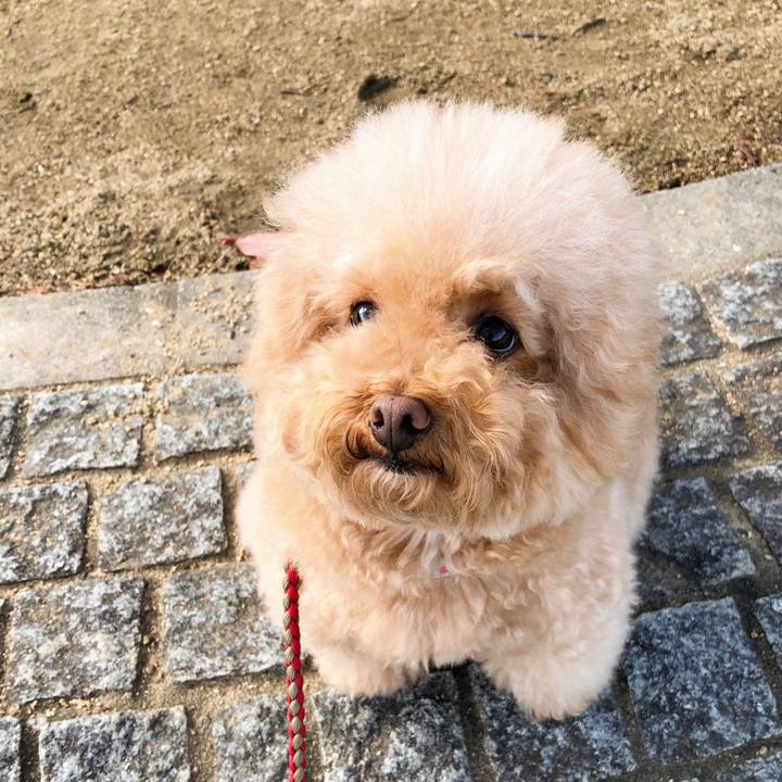 Cb0bb818 c68c 4b2f 8238 2d05912ca3ef 1511148501763