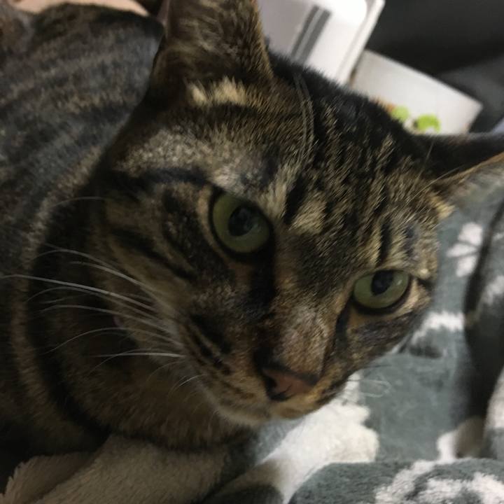 Cb0bb962 0de2 4586 a581 755ace259259 1590547307266