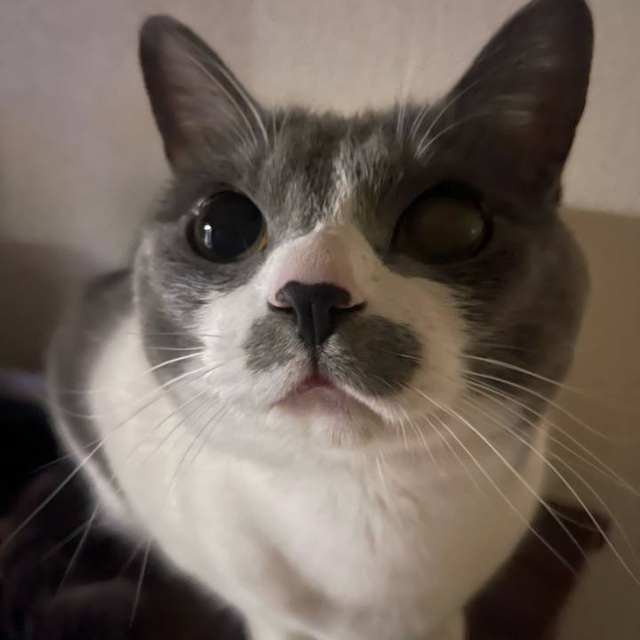 Cb0bdd16 d30e 4b16 9a63 99a88f0be065 1677515987712