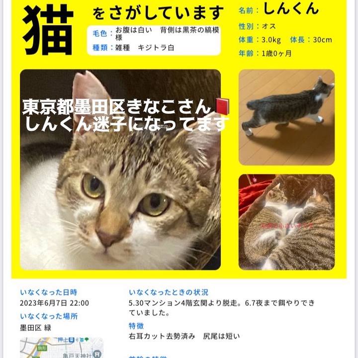 Cb0c0bc3 2b6e 45f1 9e11 bb42fe1f2b60 1692589319034