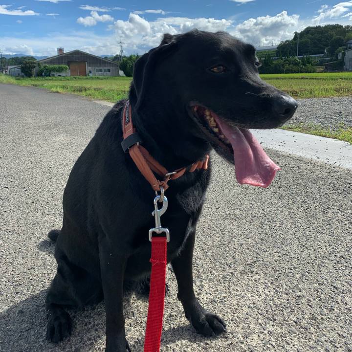 Cb0c8138 2392 4dbd 93d0 35424ece2a1b 1662273578214