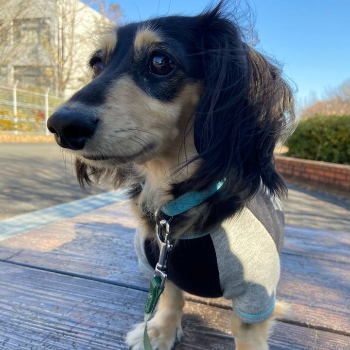 Cb0ca766 9c81 49d6 8cc0 d8de5198f15b 1735184986401