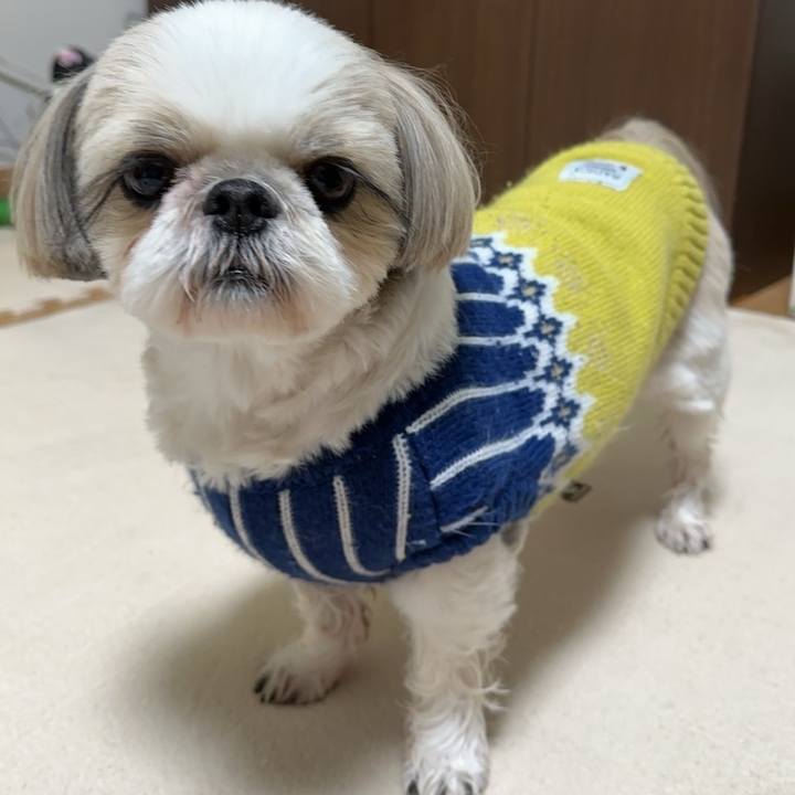 Cb0ccdf4 cf4d 4b26 bb83 4c159a3285c5 1735807777378