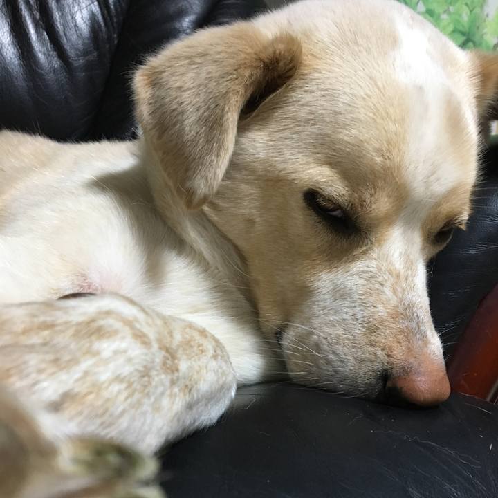 Cb0cffc1 3998 4152 8937 28540f72f0ef 1522075055119