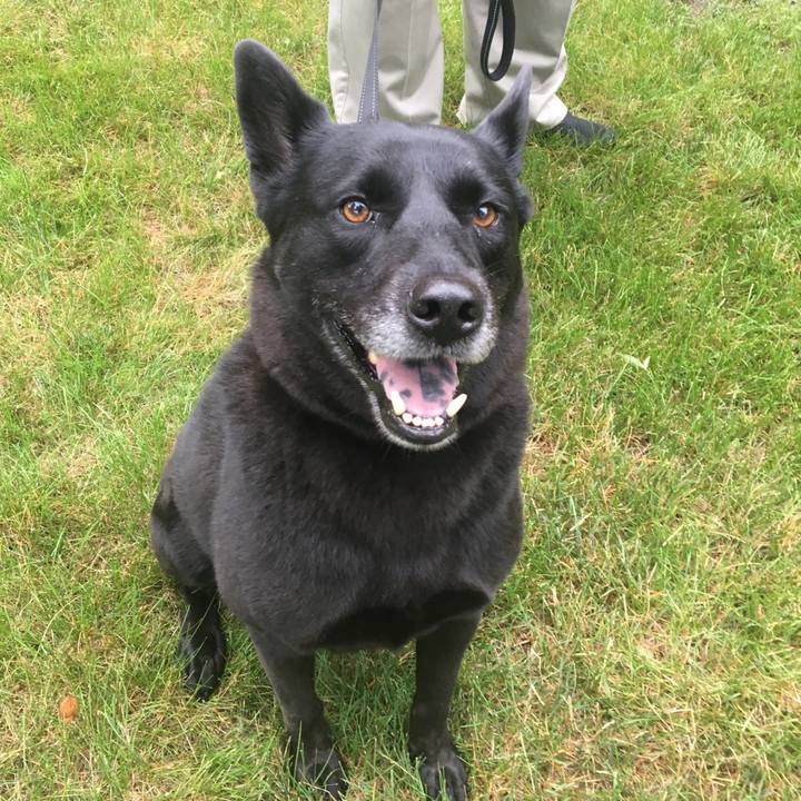 Cb0d54a5 d7fb 4089 ae14 1a5ff646073b 1628973503655