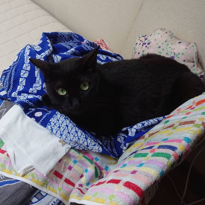 Cb0d6017 a6e5 49c4 8679 f22c167da959 1724560478750