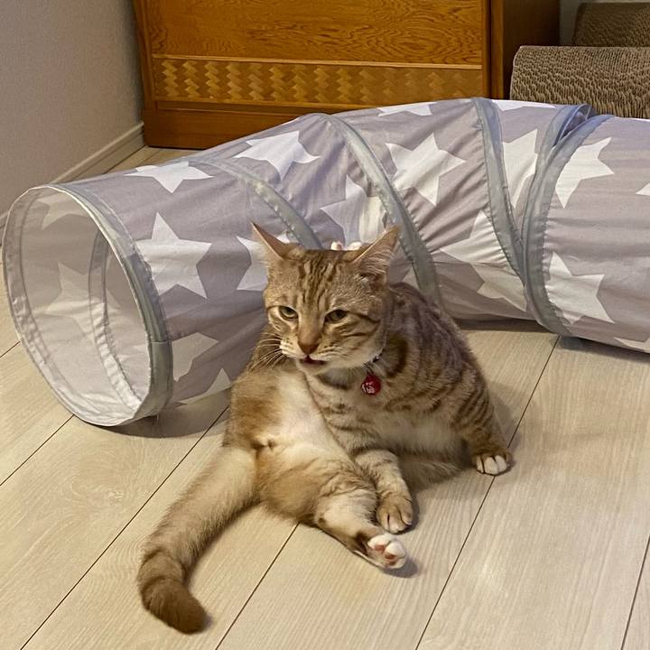 Cb0d93e0 60e9 4bf5 bc7b b637c18fb9f6 1630671233370