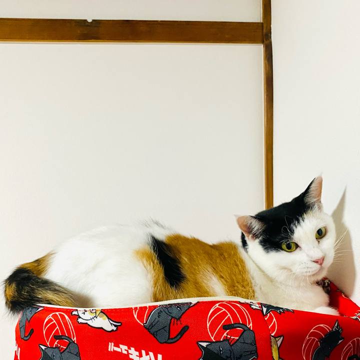 Cb0da51b 7564 4257 ab63 b18305474eda 1724145132320