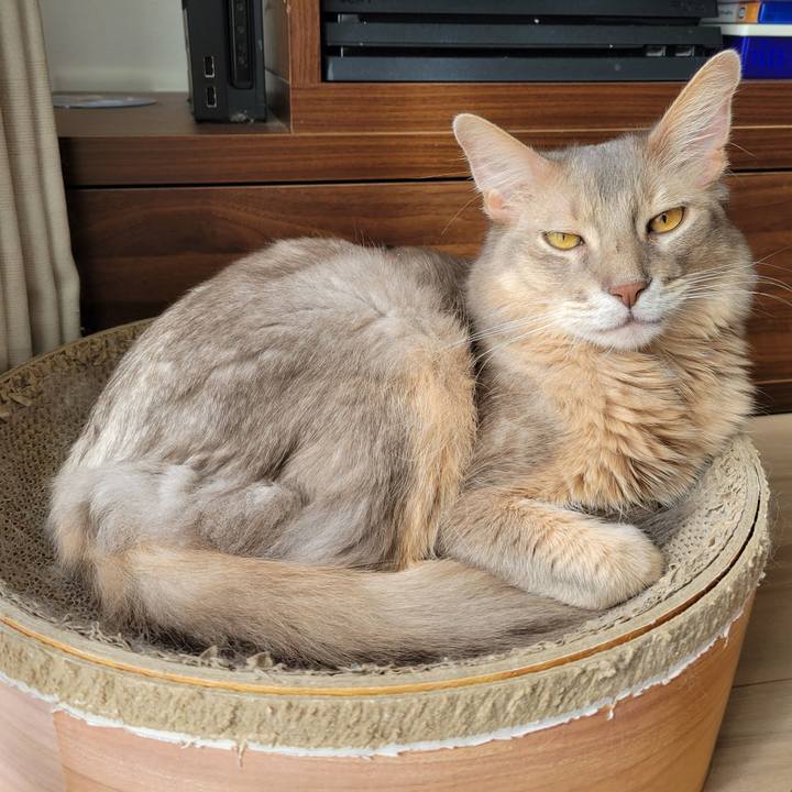 Cb0da9a7 308a 4b1b bf0a 79920342c7d9 1667699178699