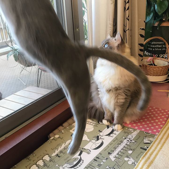 Cb0db7a3 f444 47f8 aaa5 2550a0ed83a0 1518407264955