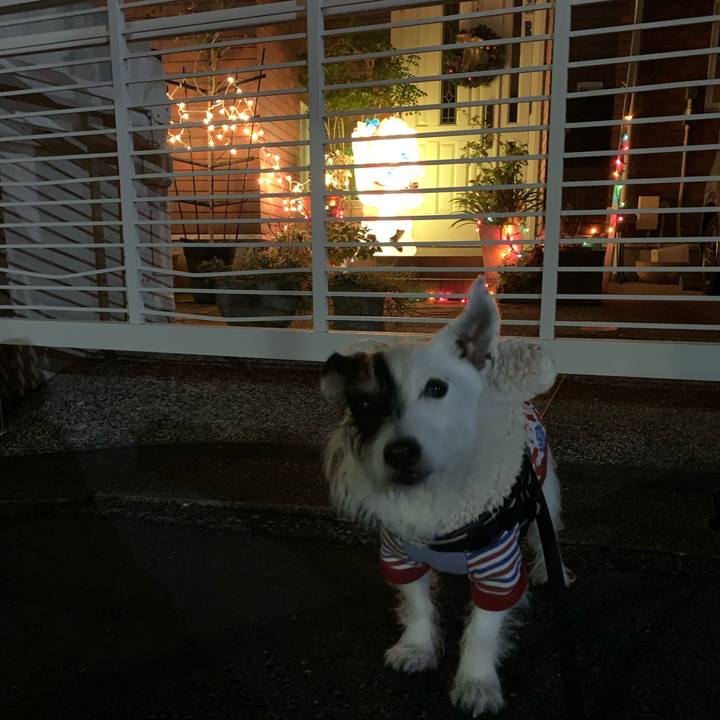 Cb0dd559 72a6 423c a024 d3e8bd0e3936 1734953727678