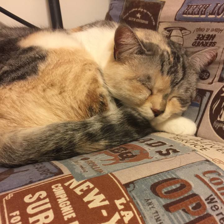 Cb0e0b9c f253 4fc7 b319 7c8e955e816d 1552580925426