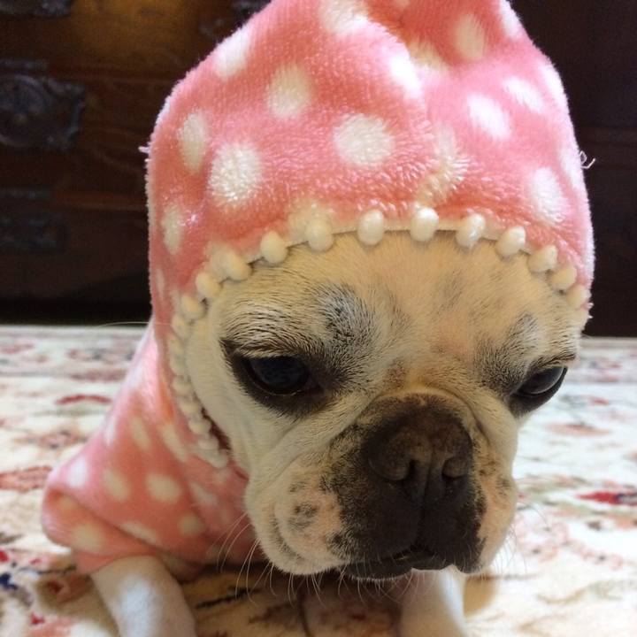 Cb0e2ba3 2b23 4158 8532 5273db8dba6d 1516284495734